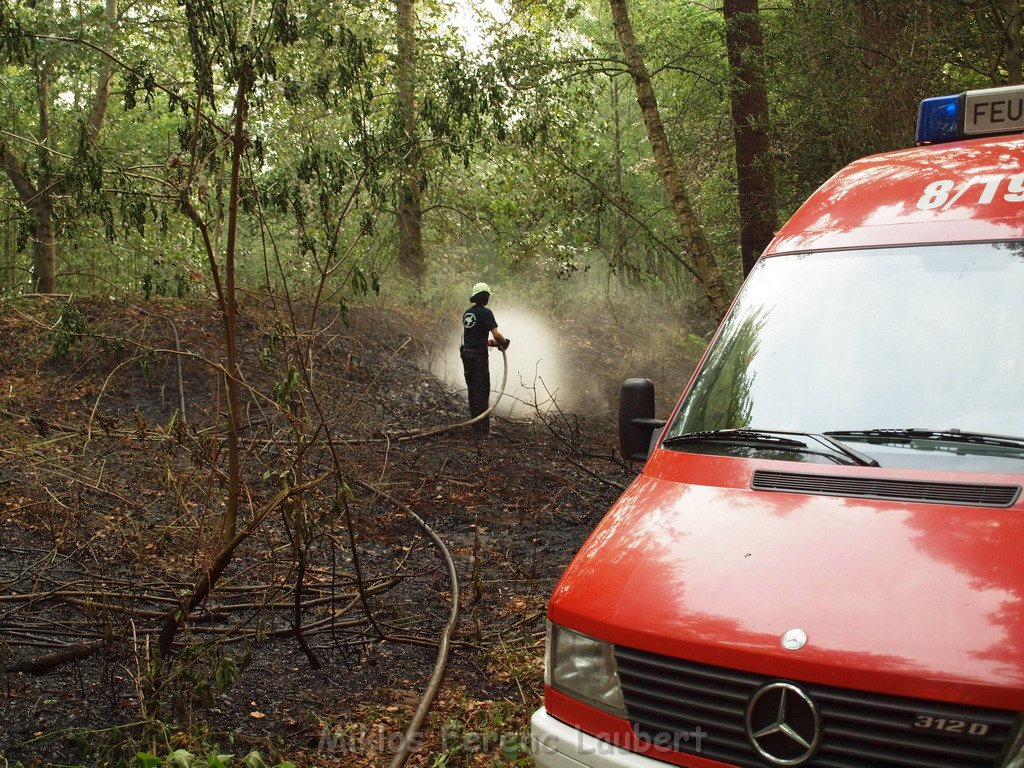 Waldbrand Bergisch Gladbach Bensberg P066.JPG